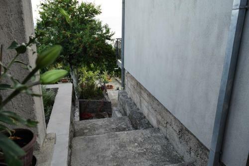 Apartment Gasparini Tripovici