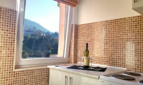 Apartments Mila Tivat