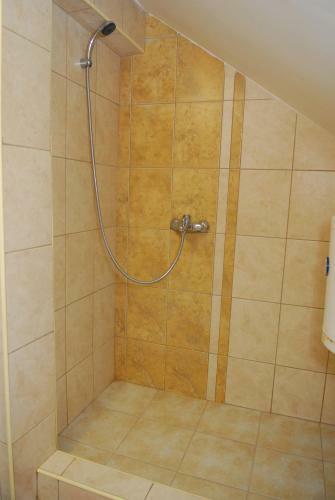 Apartments Jovan