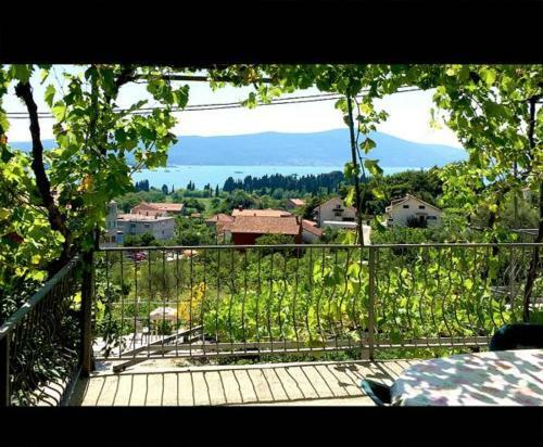 Apartmani Bosco
