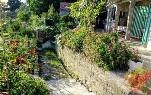 Apartmani Bosco