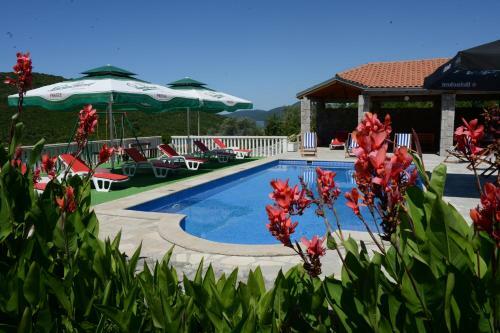 Apartments Vila Lazarevic