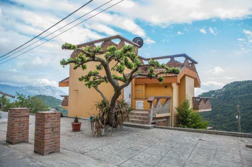 Apartments Bonaca