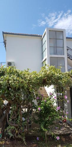 Apartments Radulovi?