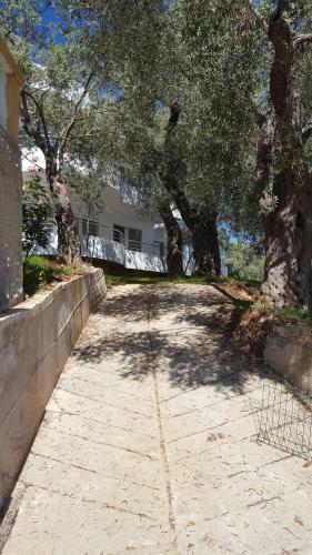 Apartments Sirena
