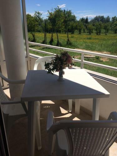 Hostal Guest House Green Garden
