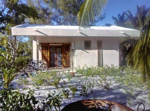 Bed & Breakfast Iguanitas