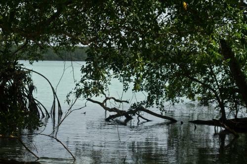 Lodge Jard�n de Palmira