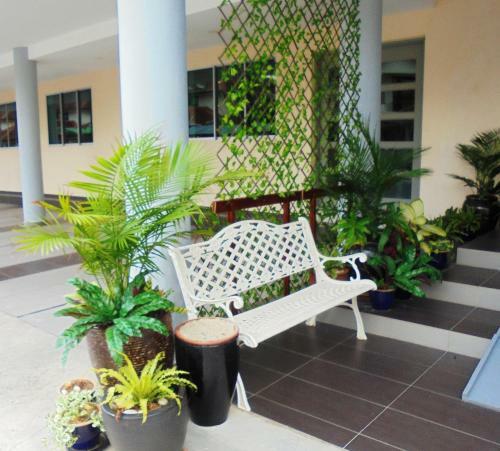 Motel D'view Hotel