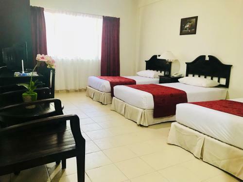 Hotel ?rya By Suria Merang