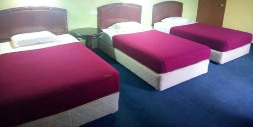 Hotel Ayu Villa