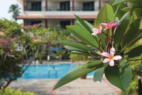 Hotel The Qamar Paka, Terengganu