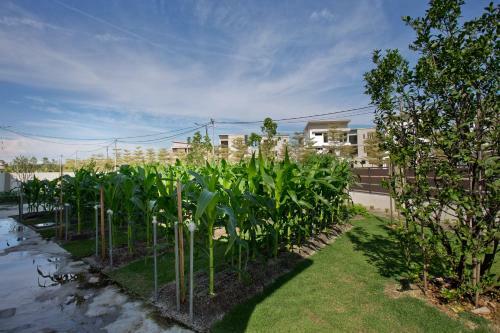 Mbi Desaku Homestay
