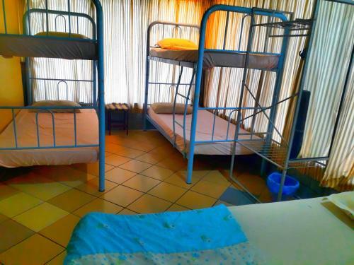 Hostal Rose Guesthouse