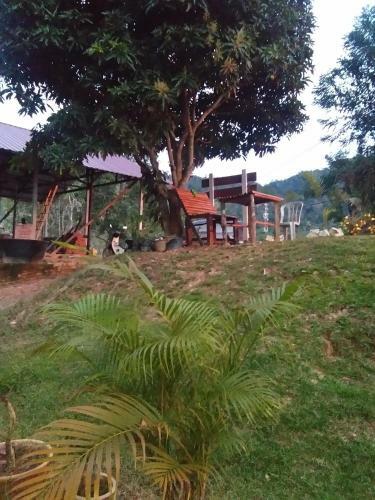 Hostal Delimah Guesthouse