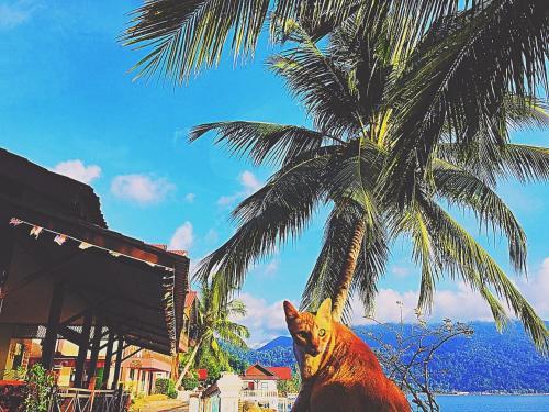 Hotel Panuba Inn Resort