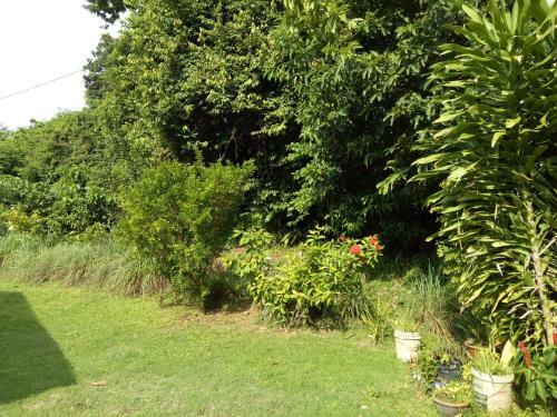 Hostal Nas Villaria Langkawi