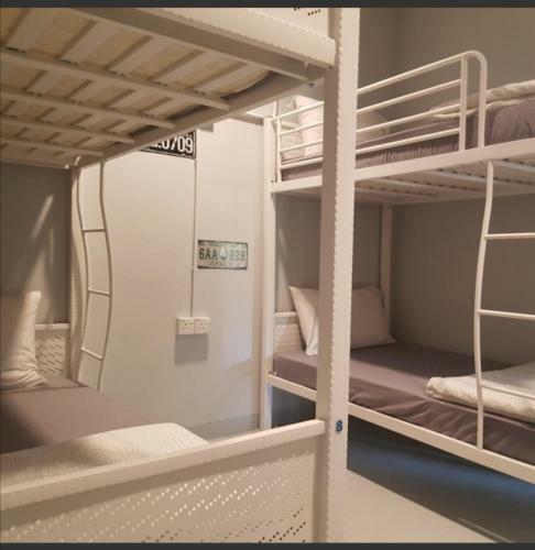 Albergue J Dorm