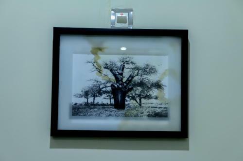 Hotel Albertville Luxury Rooms