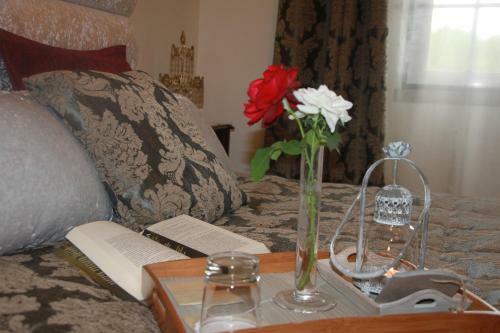 Bed & Breakfast Solar De Sao Jacinto