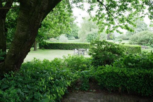 Bed & Breakfast B & B De Lorijn