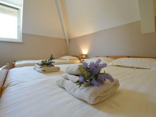 Spacious Holiday Home In Zwartewaterland With A Trampoline