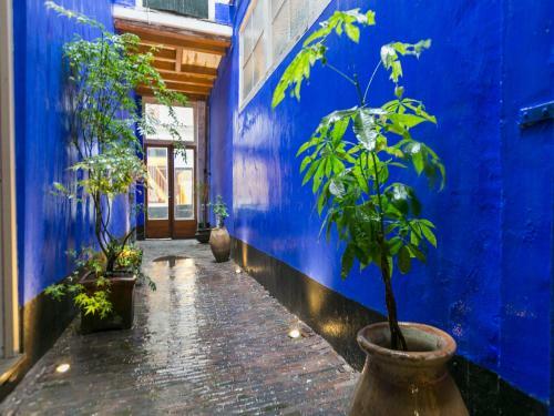 Apartamento The City Palace