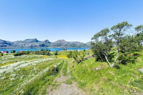 Vevika Lofoten