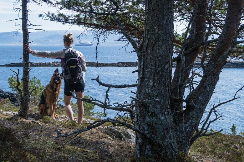 Hjorten Hotell Hitra