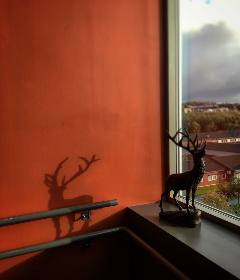 Hjorten Hotell Hitra