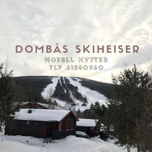 Lodge Hytter Domb�s