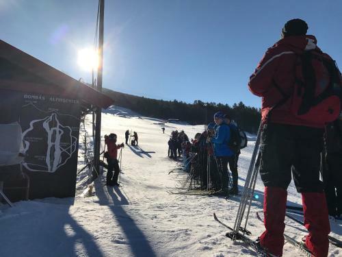 Lodge Hytter Domb�s