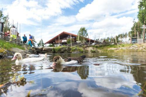 Lodge Hytter Domb�s
