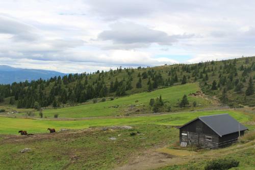 Apartamento Sulseter Fjellstugu