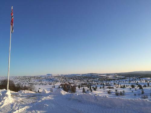Apartamento Sulseter Fjellstugu