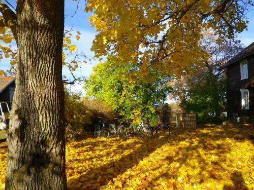 Bed & Breakfast Herkestad G�rd