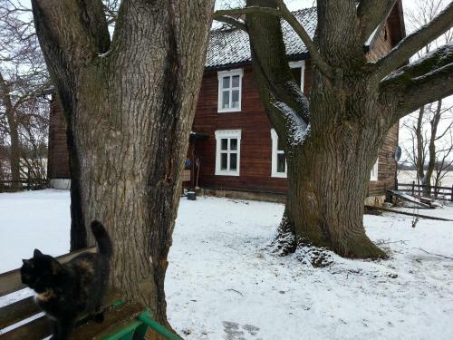 Bed & Breakfast Herkestad G�rd