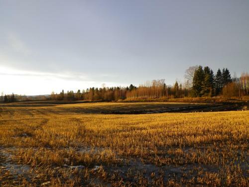 Bed & Breakfast Herkestad G�rd