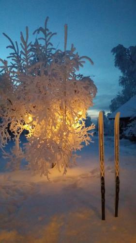 Bed & Breakfast Herkestad G�rd
