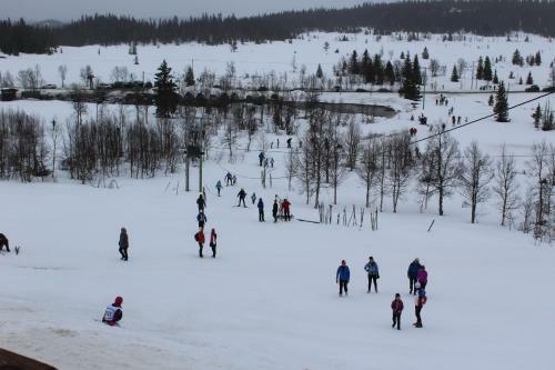 Lodge Gamlest�len Fjellstue