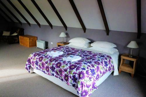 Bed & Breakfast Kiwi Wild Lodge