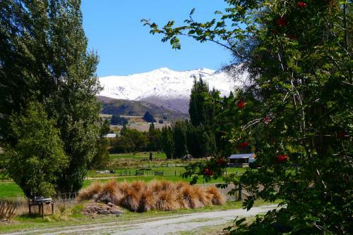 Pip's Orchard Bed & Breakfast