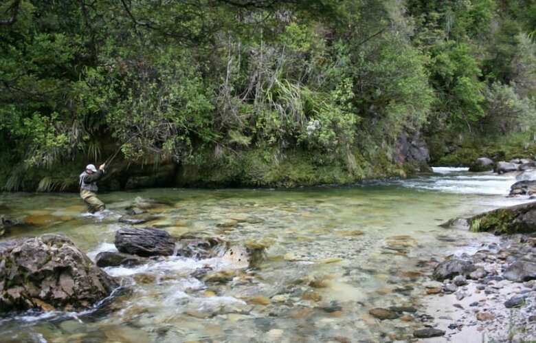 Motueka River Lodge
