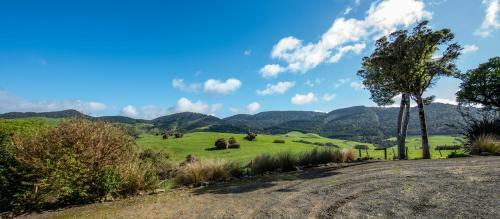 Catlins Mohua Park