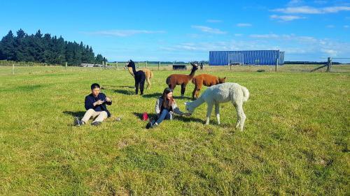 Agroturismo Shiloh Eco Farm