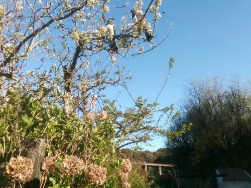 Bed & Breakfast Kaniere Bridge Home Stay