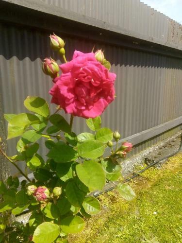 Bed & Breakfast Kaniere Bridge Home Stay
