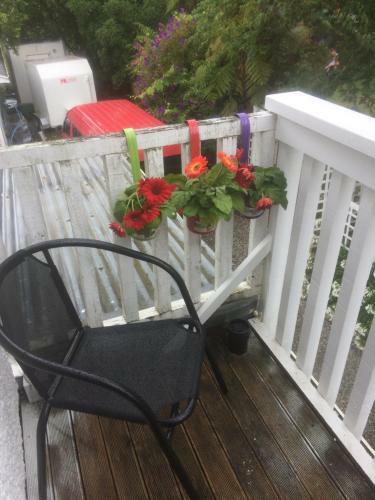 Bed & Breakfast Annandale Manor