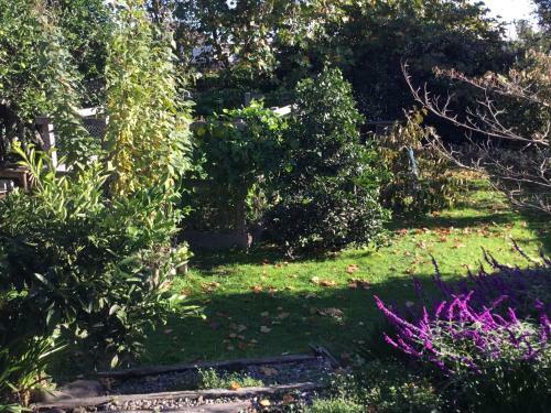 Bed & Breakfast Otaki Bnb