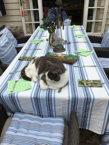 Bed & Breakfast Otaki Bnb